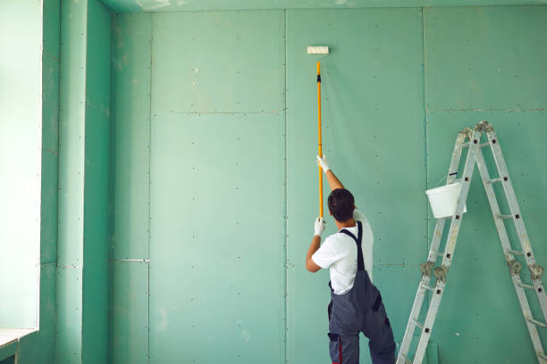 Best Dehumidification Services  in Natalia, TX