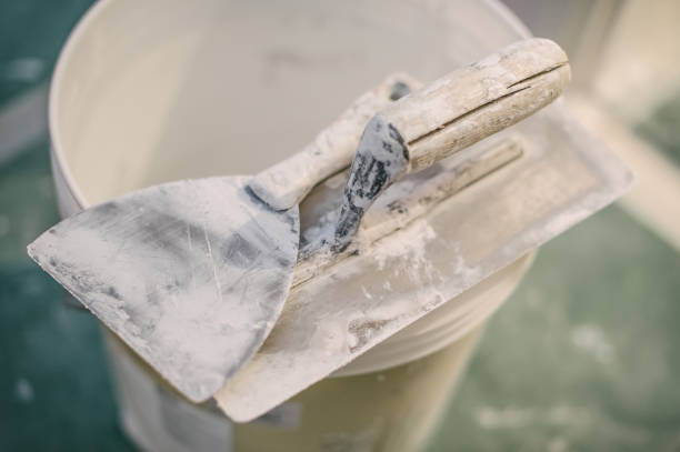 Reliable Natalia, TX Mold Removal Solutions