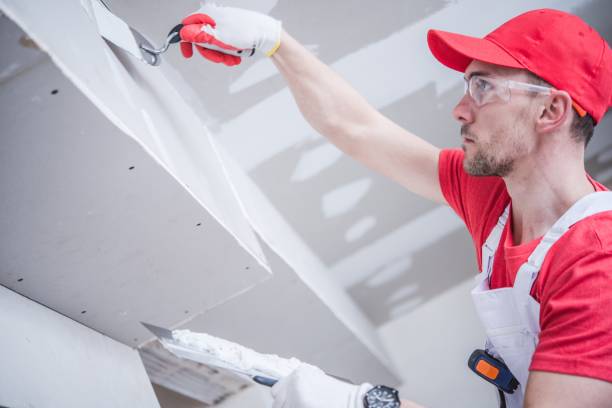 Best Commercial Mold Inspection  in Natalia, TX